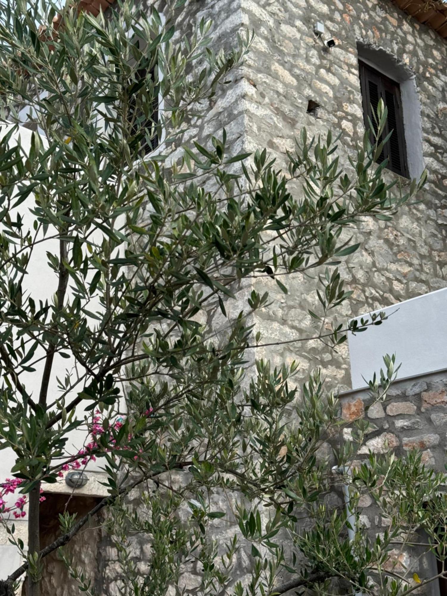 Elia Luxury Rooms Areopoli Esterno foto